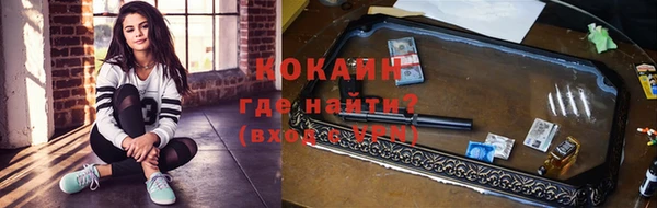 крисы Алексеевка