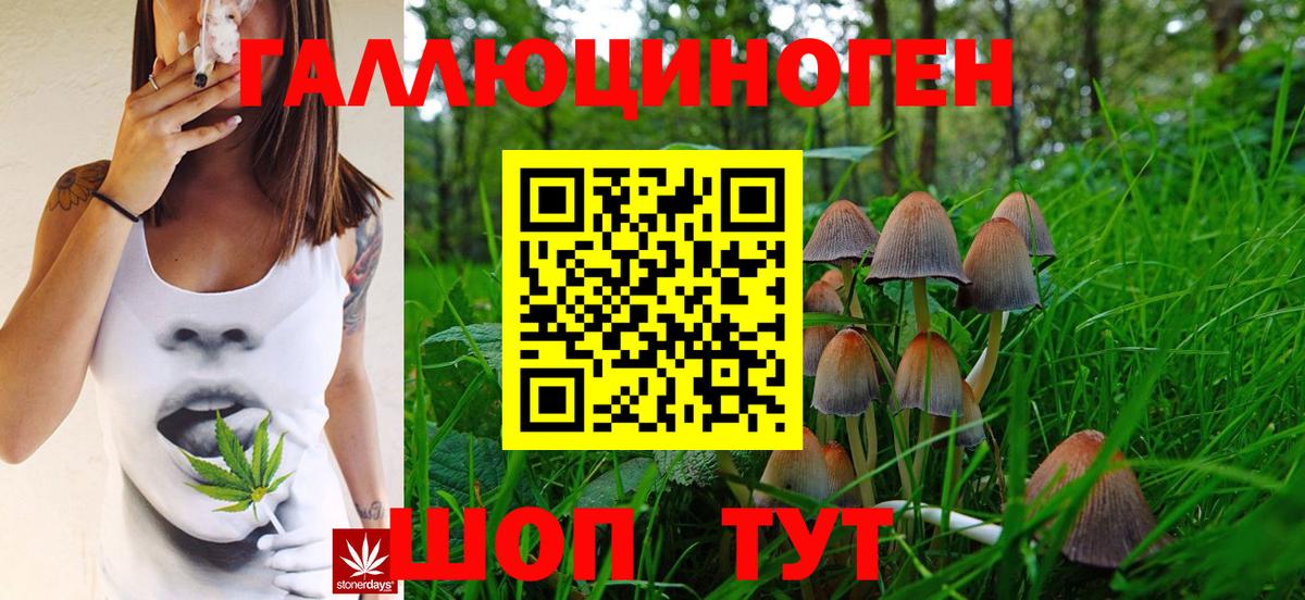 Нижний Новгород  Псилоцибиновые грибы ЛСД  Вход с VPN 