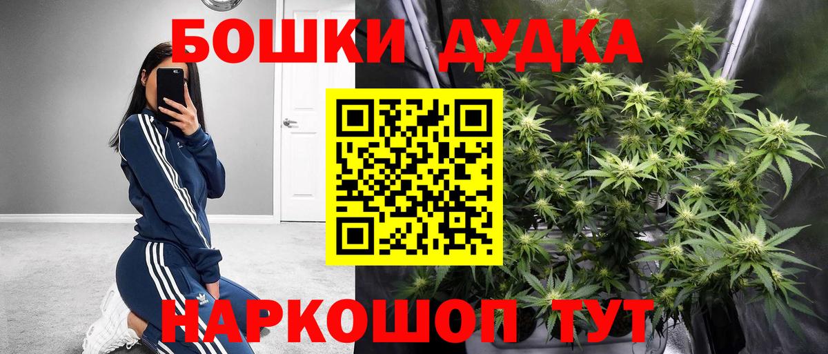Бошки Шишки OG Kush  Вход с VPN  Нижний Новгород  МАРИХУАНА Bruce Banner 